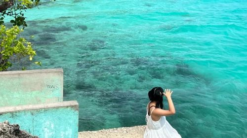 Siquijor Island Day Tour: Enchanted Old Tree & Vine Jumping & Church & Beach Day Tours 1BPrra9z