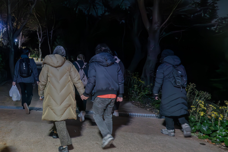 Busan: Night Hiking Tour with the Best Ocean View in Busan fHWraZAP