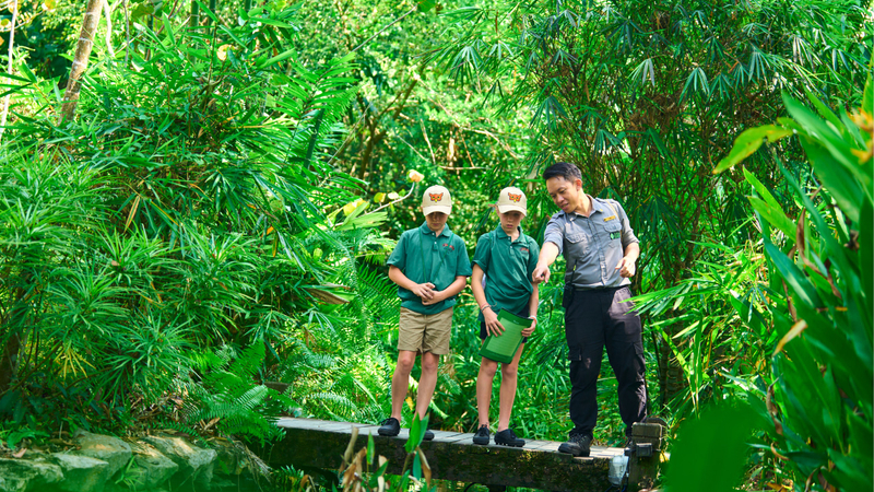 Junior Naturalists Experience at Shangri-La Rasa Ria, Sabah F39SEcWp