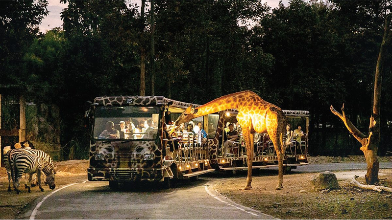 Chiang Mai Night Safari (Thai Residents) 4nPAuUuC