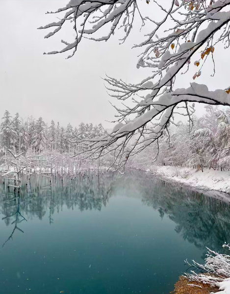 Sapporo Departure - Hokkaido Zoo & Shirasu Falls & Christmas Tree & Shirogane Blue Pond Day Tour UUkJ55n0