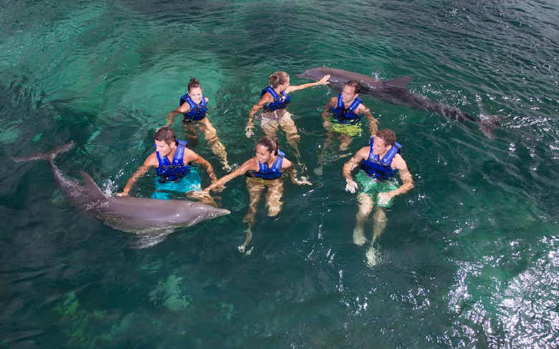 Swim with Dolphins Experience In Delphinus Xcaret DoEztI7G