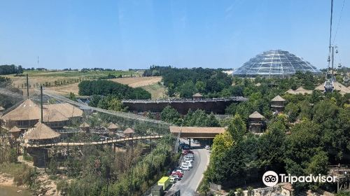 ZooParc de Beauval hKvQyRqO
