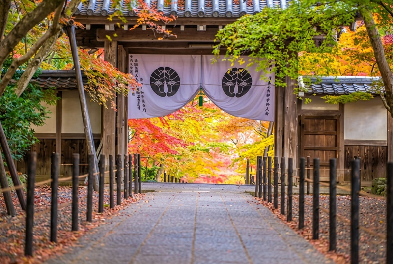 Kyoto’s Best-Kept Secret: Authentic Bamboo & Hidden History of West RgAKYOF0