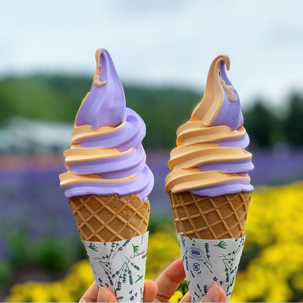 [Hokkaido Summer Flower Viewing] Shikisai no Oka & Farm Tomita & Blue Pond & Waterfall & Patchwork Tour One-Day Trip | Depart from Sapporo J8pbIiGP