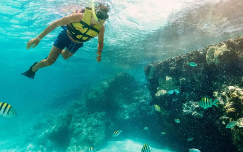 Punta Nizuc and MUSA Underwater Museum Snorkeling Experience KRS3Zw5v