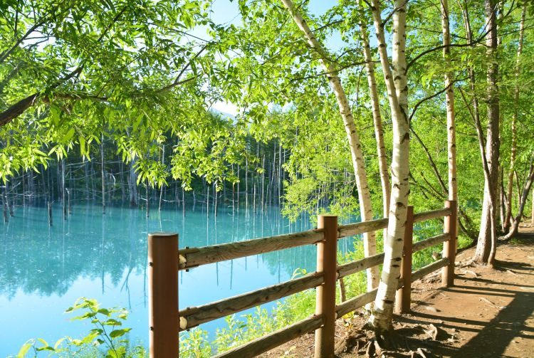 Hokkaido Asahiyama Zoo & Forest Elf Terrace Day Trip OcLVgPoN