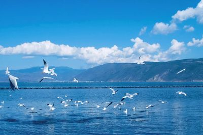 Kunming Stone Forest and Dianchi Lake Day Tour wcyD9ImF