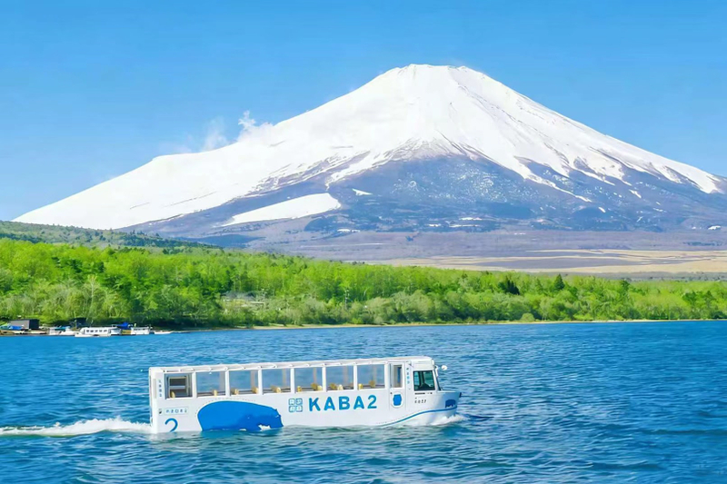 Mount Fuji Kawaguchiko Cherry Blossom Viewing & Yamanakako Onsen/Cycling & KABA Hippo Bus Experience & Arakurayama Sengen Park & Oishi Park & Oshino Hakkai Day Trip (Departing from Tokyo) Rj49JKFo
