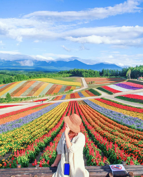(Summer Furano Limited) Ningle Terrace & Shikisai no Oka & Farm Tomita & Blue Pond & Waterfall Day Tour MeUL9BhS