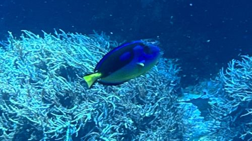 Loebbecke-Museum und Aquazoo 1boY4ym0