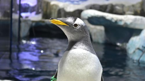 SEA LIFE Konstanz KvGkNHXm