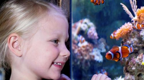 SEA LIFE Oberhausen 2zkmjTlA