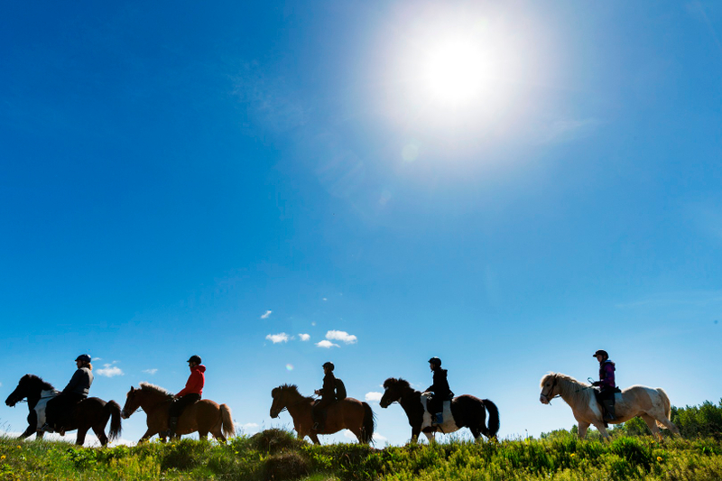 Viking Horse Riding Experience from Hafnarfjordur 4laW3vx5