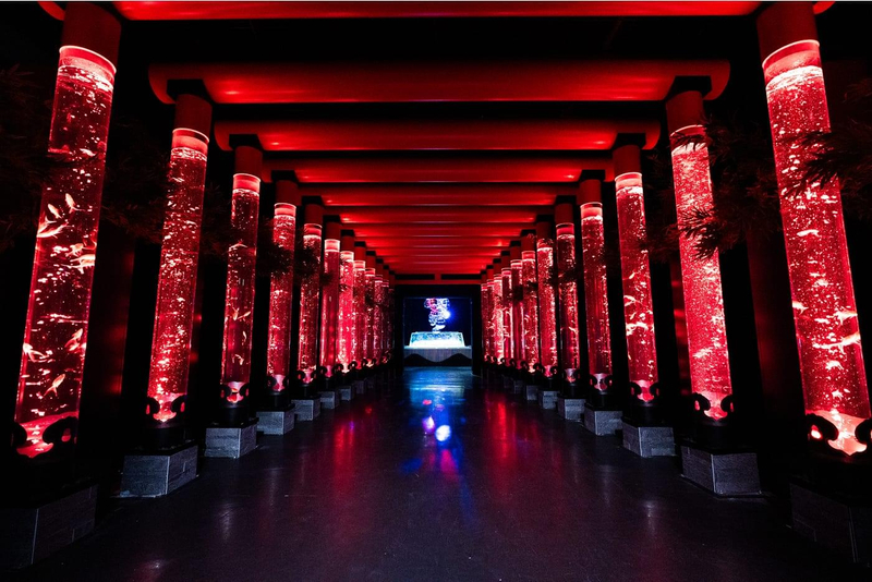 Art Aquarium Museum GINZA Ticket MdHkJCT0