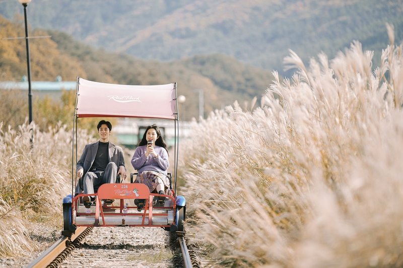 Nami Island Private Charter from Seoul: Hotel Pickup & All Tickets 4Kpa4H7F