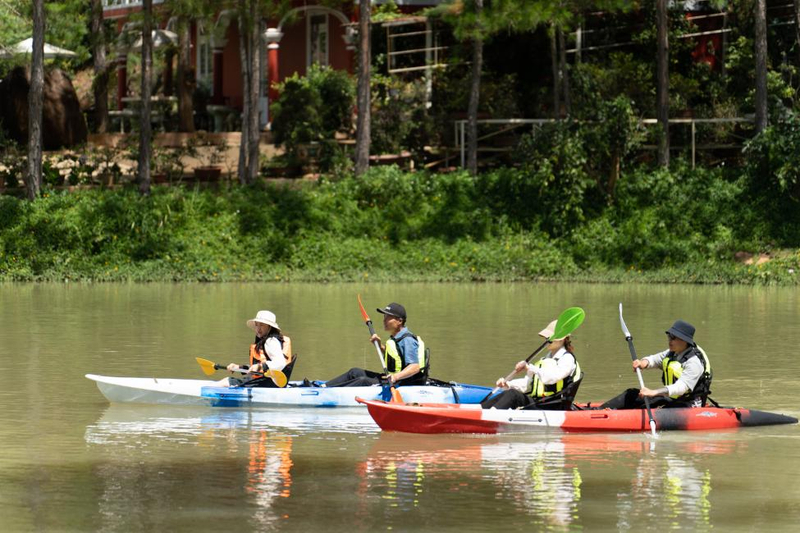 Dalat Elephant Mountain Pine Forest cTFqYVy9