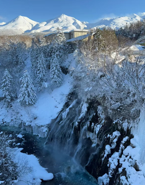 Hokkaido Ningle Terrace Illumination Tour | Blue Pond Illumination & Shikisai no Oka Snow Play & Christmas Tree & Shirogane Waterfall Day Trip | Depart from Sapporo VpCLFTF2