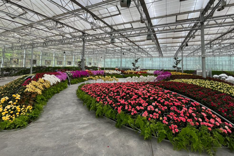 Eufloria Gardens & Sculpture Park in Genting Ticket ofCTxyAE