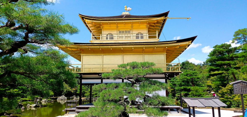 Kyoto and Nara Day Tour(Optional upgrade to Wagyu “Kobe Beef” lunch) h0xEtTW7