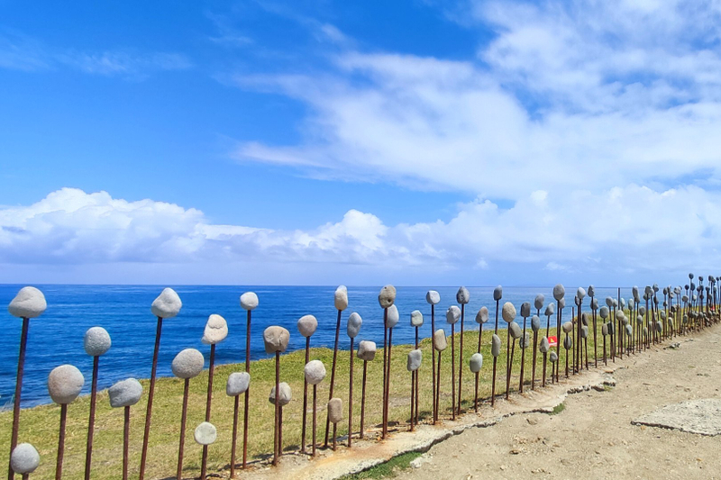 【Limited Time】2026 Taiwan International Balloon Festival: South-Link Railway & Taitung Sanxiantai & Chishang Multi-Day Tour (Departing from Taipei/Kaohsiung/Taitung) wcpJvvSM