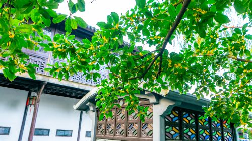 Lion Grove Garden(Shizilin Garden) 5sQ50Nz5