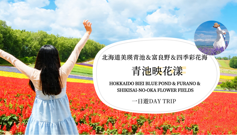 【Hokkaido Flower Sea Double Route Day Tour】Biei Blue Pond × Furano × Shikisai no Oka (Free Ticket) | Patchwork Road Scenic View | Depart from Sapporo o7AJbcHv