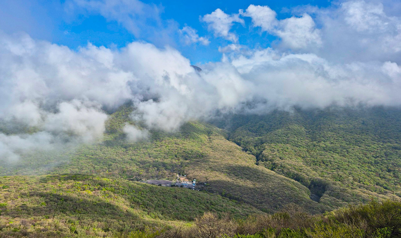Jeju South Euphoria: UNESCO Sites Full-Day Tour Yt47wDUF