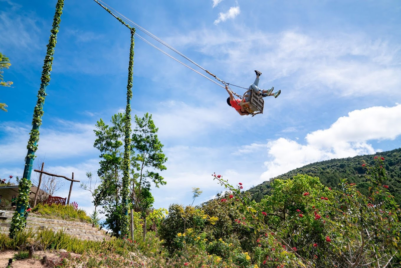 From Nha Trang: Da Lat, Mongo Land, Dalat Flower Highland Day Tour Rba28sDC