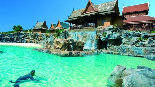 Siam Park 60fkVtKY