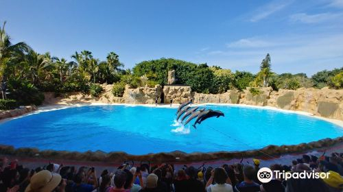 Loro Parque nkkXiFCc