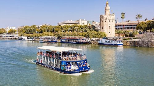 Sevilla: Hop-On Hop-Off & Walking Tours, Cruise & Flamenco k6uuBk22