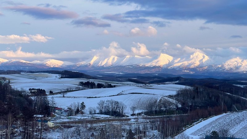 Asahikawa and Furano Day Trip | Christmas Tree, Snow Park (Snowmobile Experience), Asahiyama Zoo (Admission Included) HCmUo077