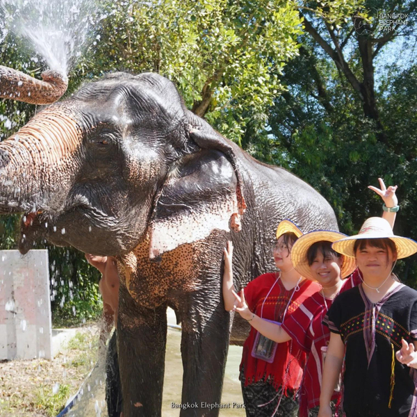 Bangkok Elephant Care Program at Elephant Park Bangkok k1RQVbJv