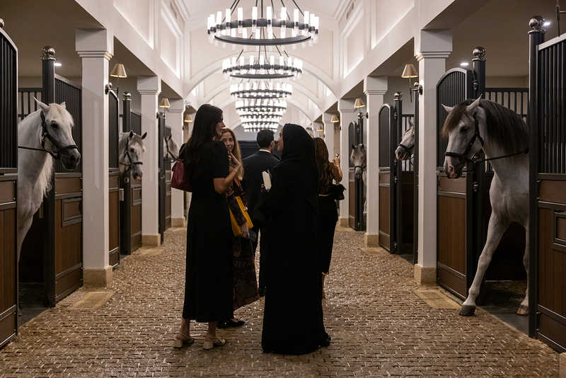 ADREA: Abu Dhabi Royal Equestrian Arts Guided Tour fGJuc97B