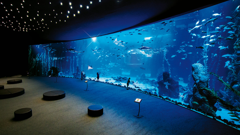 Poema del Mar - Aquarium Gran Canaria: Skip The Line Ticket 5QInRIp0