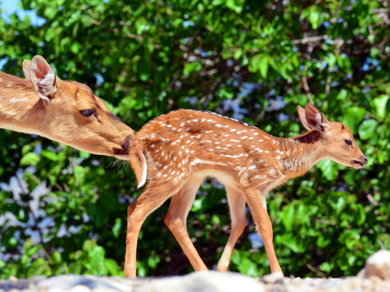 Terra Natura Benidorm: Entry Ticket Fm5UIo3w