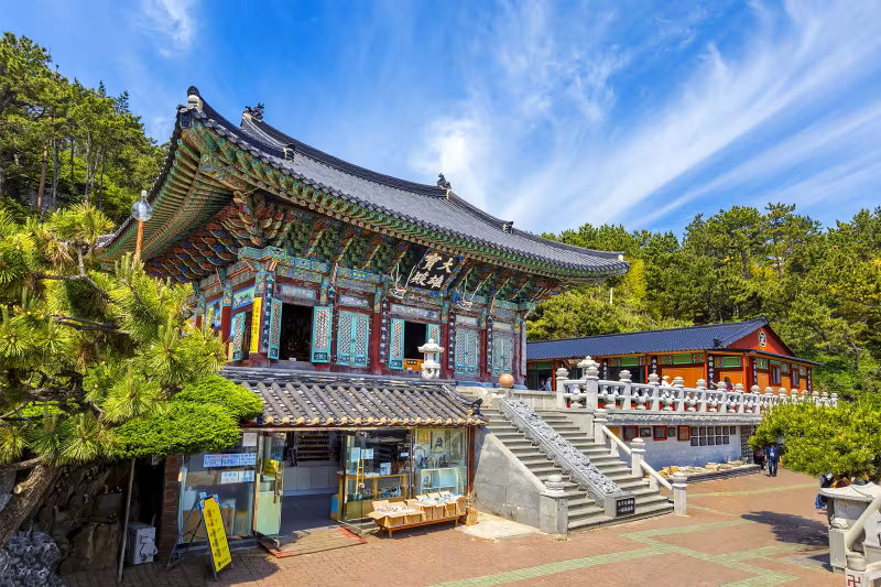 Busan Local Life Tour: Bamboo Forest, Haedongyonggungsa Temple, Gamcheon Culture Village LJ56WRsN