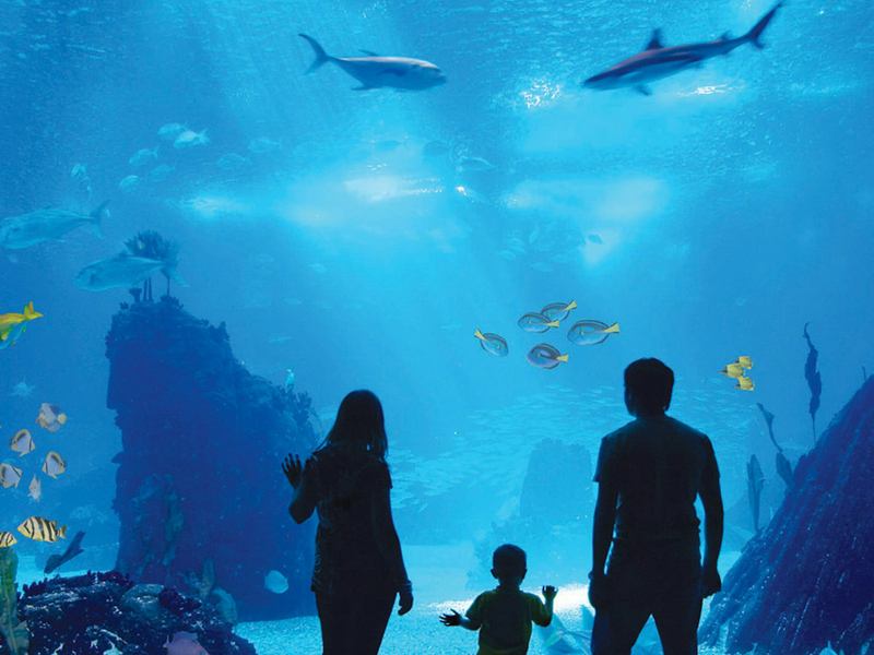 Antalya Aquarium and Face 2 Face Wax Museum Ticket JWojD0JD