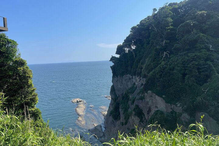Gourmet Food and Temple Visit Tour in Enoshima c1tweG6G