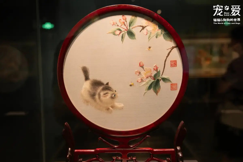 Shenzhen Museum fkFp8euy