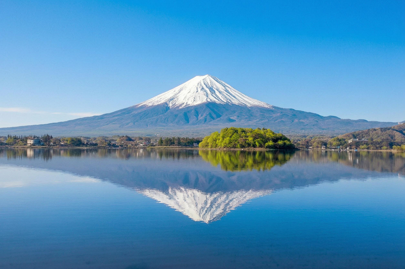Tokyo Fuji Kawaguchiko Full-Day Small Group Tour tQqInLfv