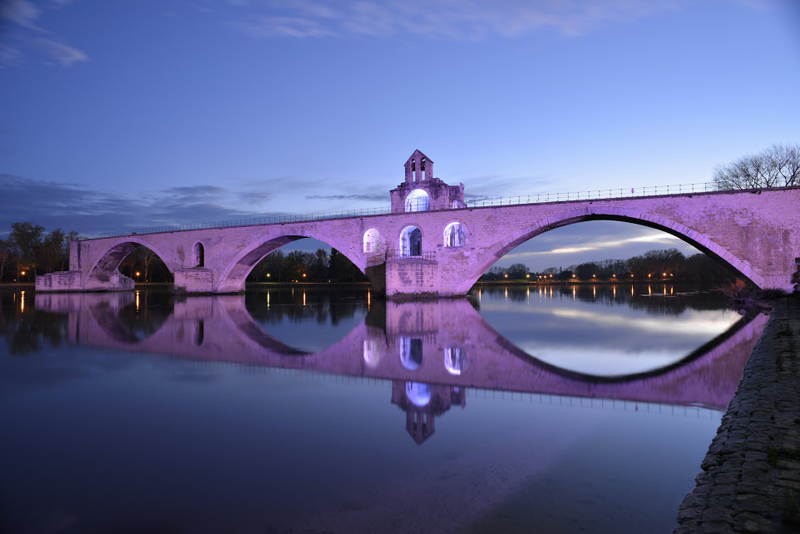Palace of the Popes and Pont d’Avignon Ticket VdQWASCW