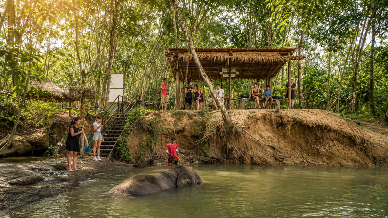 Khao Lak: Bamboo Rafting, Sea Turtle, and Temple Tour eOsdJRnA