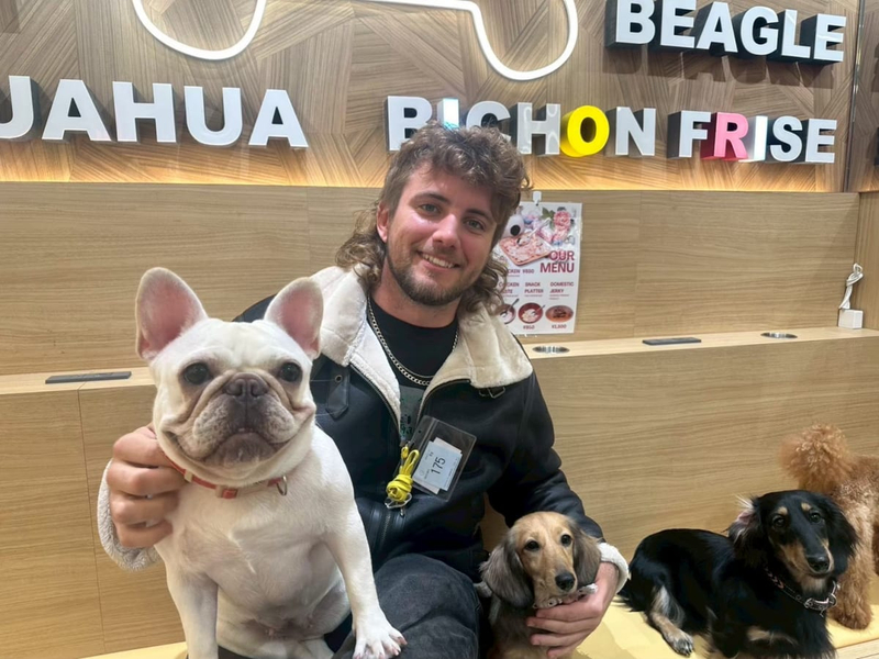 Play with Dogs at Dog Cafe Rio Akihabara [Dog Cafe Rio Akihabara] K1ank3Ep