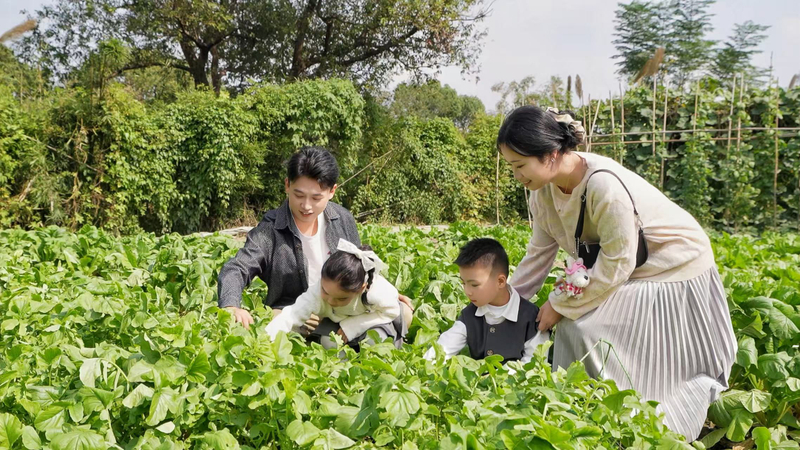 Hangzhou Xixi Wetland Park Admission Ticket  Peaceful Oasis Near West Lake DEyanjTZ