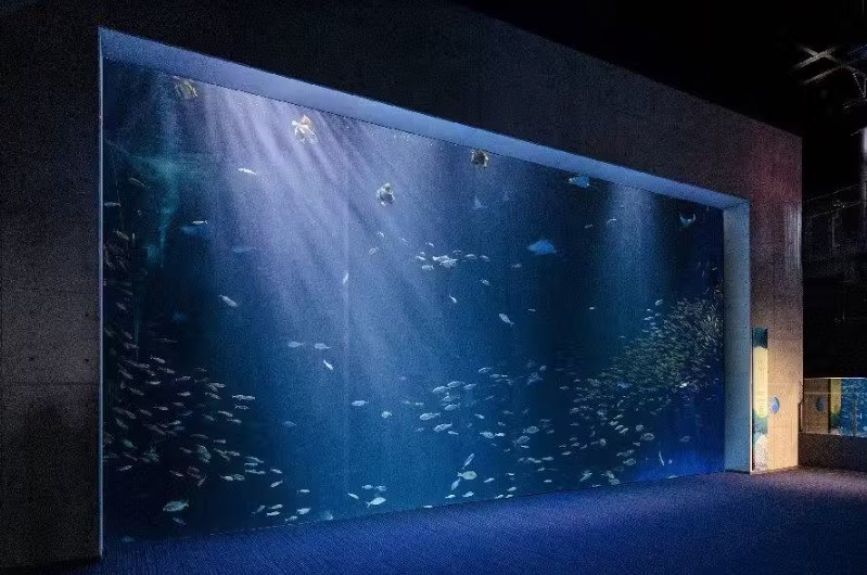 Shikoku Aquarium t7x8toah