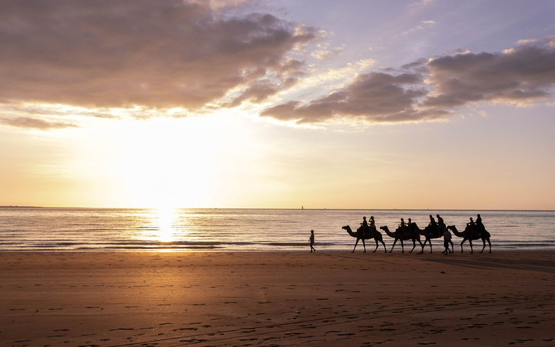 Mindil Beach Camel Ride Experience in Darwin ez5kFq0q