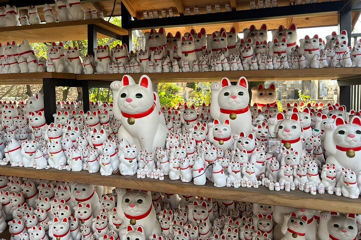 Tokyo: An Unique Temple Walking Tour for Cat Lovers kfFVcVsS
