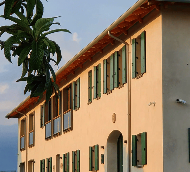Conegliano: Prosecco Hills and Vineyards tour wHKS4wE6